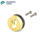 Olympus - 723S - SFIC Sliding Door Cylinder Housing - Polished Brass - UHS Hardware