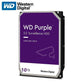 Western Digital / Surveillance Hard Drive / 10 TB / WD101PURP - - UHS Hardware